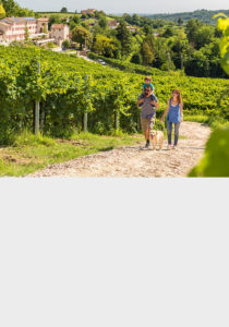 Attività tenuta Sant'Eufemia