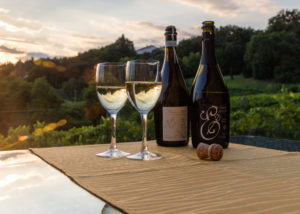 Prosecco prodotto D.O.C.