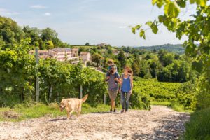 tenuta sant eufemia famiglia vancanza conegliano