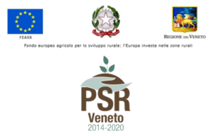 Banner PSR Beneficiari